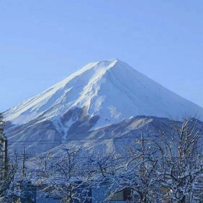 英雄冒险手游